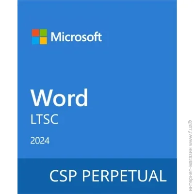  Microsoft Word LTSC 2024 Commercial Software, Perpetual (DG7GMGF0PN41_0002)