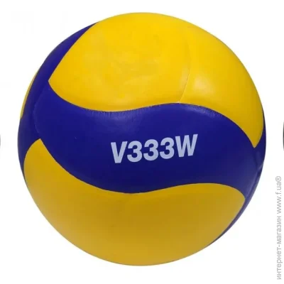   Mikasa Pro (V333W-5)