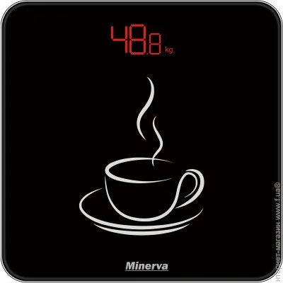    Minerva B12E Cupcake