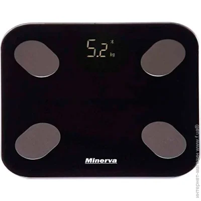    Minerva SmartBody