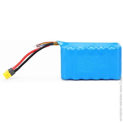  Molicel 6S2P INR21700-P42A