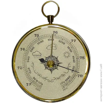   Moller  Moller 201107 Gold (9980033)