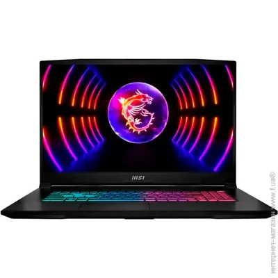  MSI Katana 17 B12VEK (B12VEK-1034XPL)