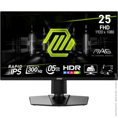 MSI 24.5 " 300  MAG 255PXF