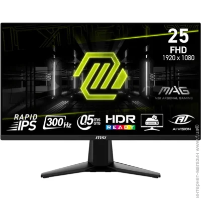  MSI 24.5 " 300  MAG 255XF