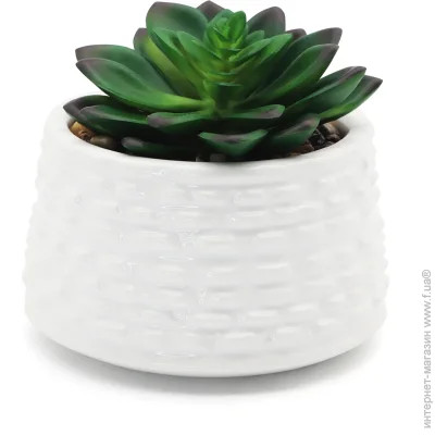   MVM  DH-FLOWERS-12 GREEN/WHITE