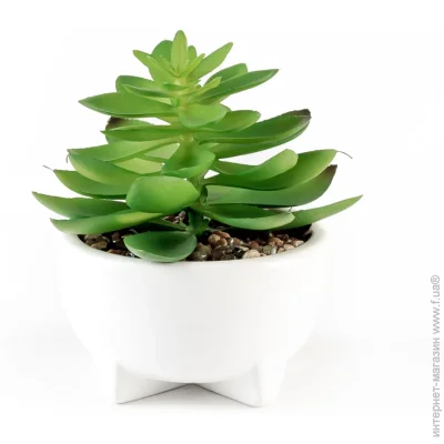   MVM   DH-FLOWERS-14 M GREEN/WHITE