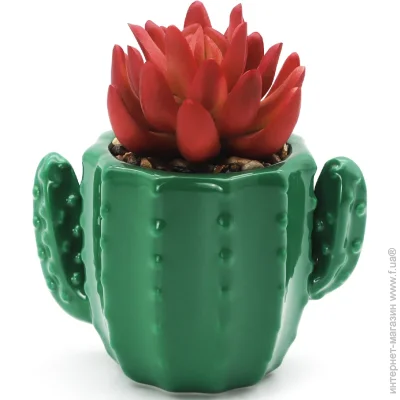  MVM  DH-FLOWERS-15 PINK/GREEN