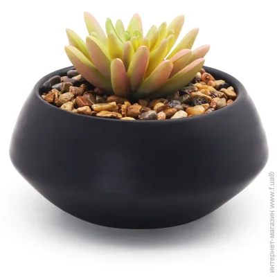   MVM  DH-FLOWERS-18 GREEN/BLACK