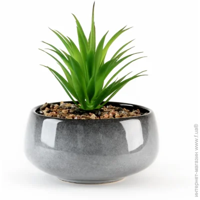   MVM   DH-FLOWERS-19 GREEN/GRAY