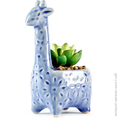   MVM   DH-FLOWERS-20 GREEN/BLUE "