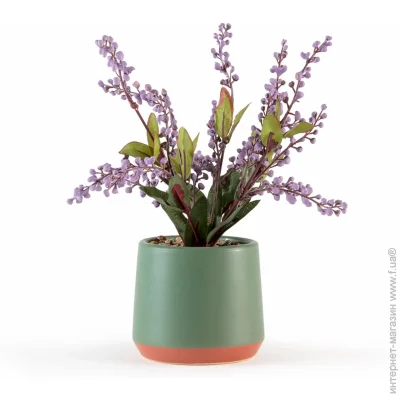   MVM   DH-FLOWERS-21 PURPLE/GREEN