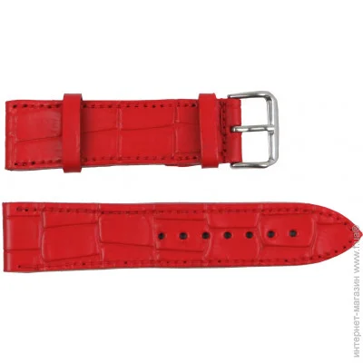 Mykhail Ikhtyar     22   (S22-718S red)