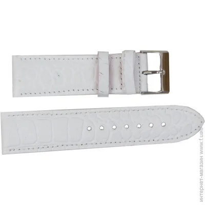 Mykhail Ikhtyar        24   (S001-24S white)