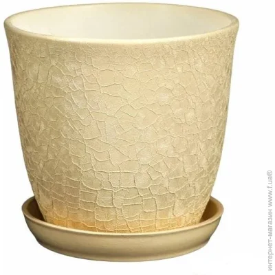 Nana Ceramics         1  (482)