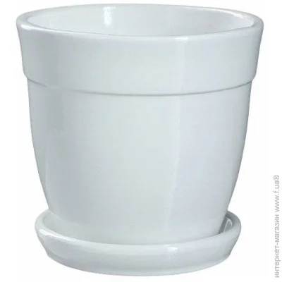 Nana Ceramics         1  (482)