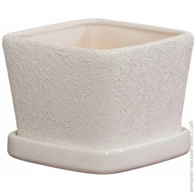 Nana Ceramics         1  (482)