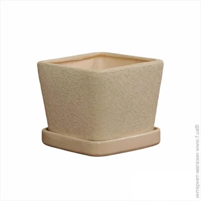 Nana Ceramics         1  (482)