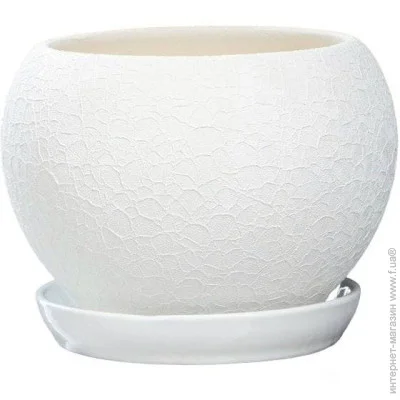 Nana Ceramics         2,5 