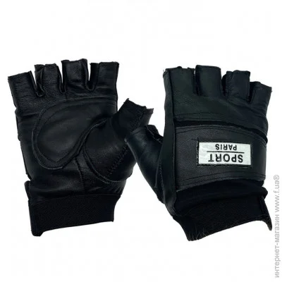   Newt       Gym SP NE-LG-32-L,  L