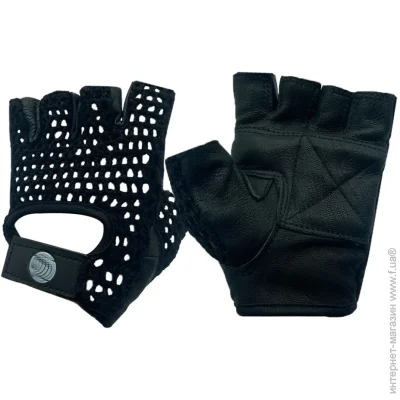   Newt       Gym SP NE-LG-42-L