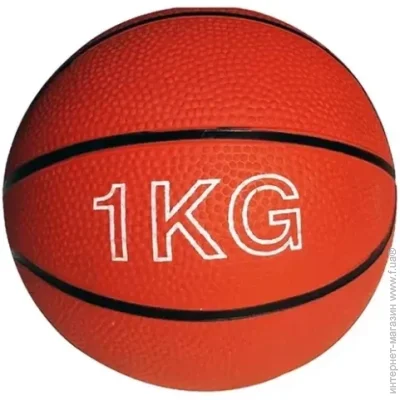 Newt ,  Medicine Ball NE-SP-MED-1, 1 , 