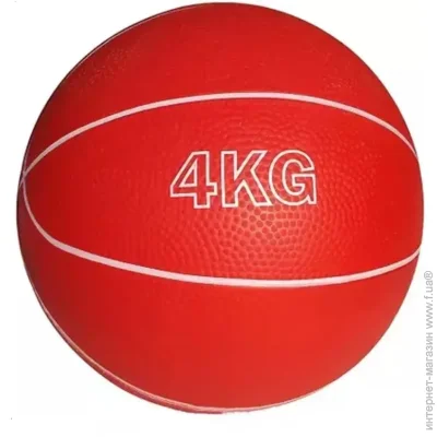Newt ,  Medicine Ball NE-SP-MED-4, 4 , 
