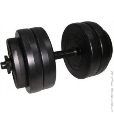  Newt NE-PL-G-025