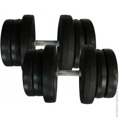  Newt NE-PL-R-021-2