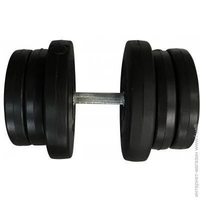  Newt NE-PL-R-021