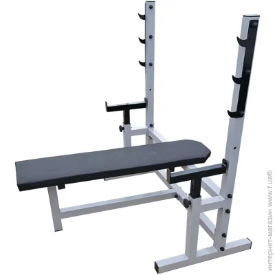Newt     "Profigym" NE-SK-60    300 