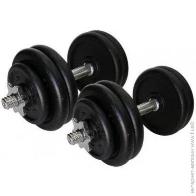  Newt TI-968-745-1