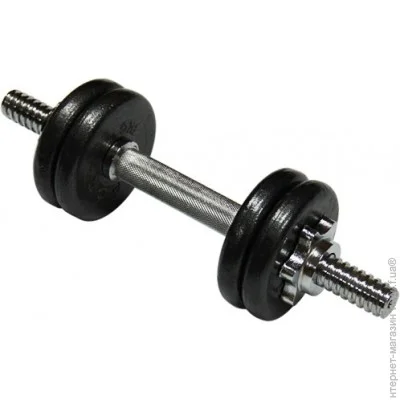  Newt TI-968-746-6-1