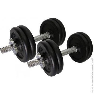  Newt TI-968-746-6