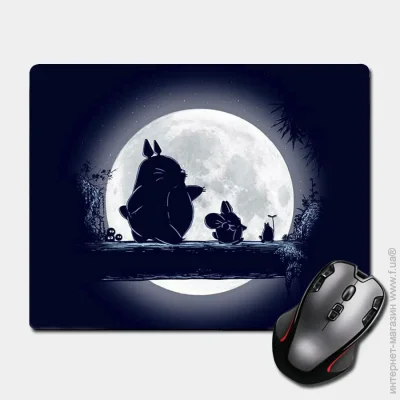            - Tonari no Totoro 300  250  (17492) Nextprint