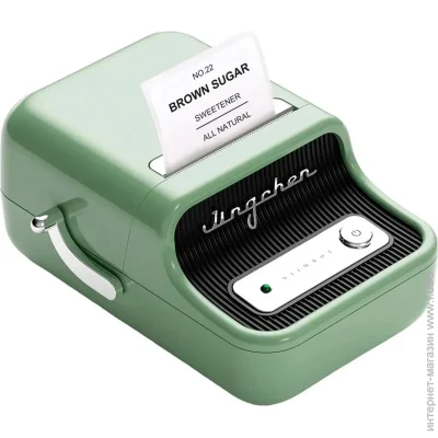     Niimbot B21S Green