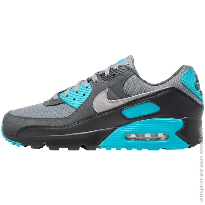    Nike AIR MAX 90 (DM0029-013-42.5)