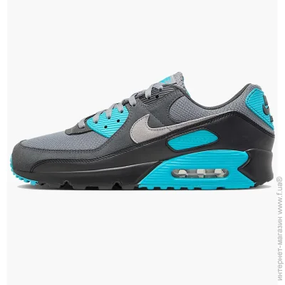    Nike AIR MAX 90 (DM0029-013-44.5)