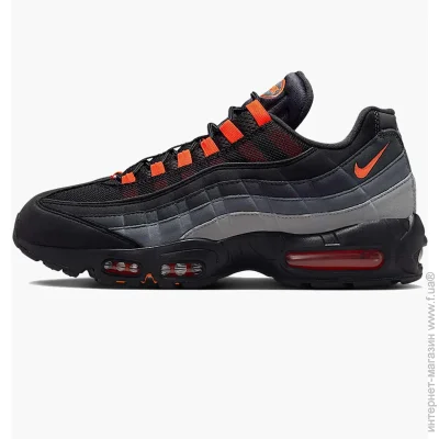    Nike Air Max 95 (FV4710-002-40.5)