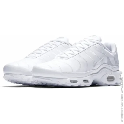    Nike AIR MAX PLUS .41 (AJ2029-100-41)