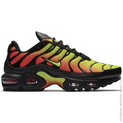    Nike Air Max Plus (AQ9979-001-39)