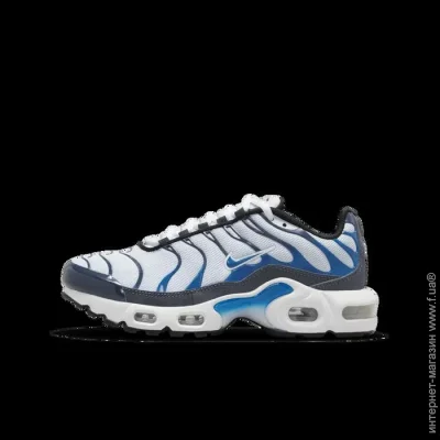    Nike Air Max Plus (CD0609-409-37.5)
