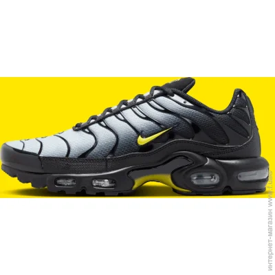    Nike AIR MAX PLUS (DM0032-012-46)