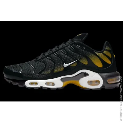    Nike Air Max Plus (DM0032-013-45)