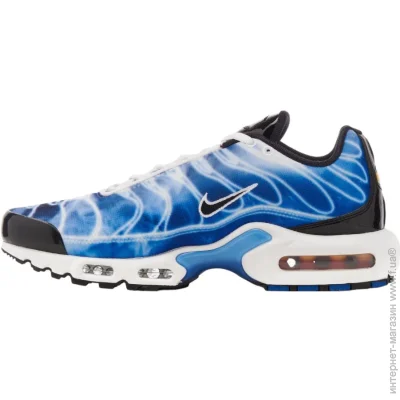    Nike Air Max Plus (DZ3531-400-44)