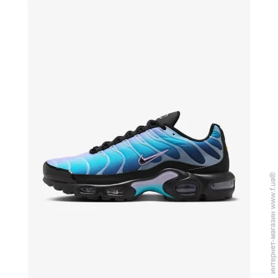    Nike Air Max Plus .43 (HV2510-001-43)