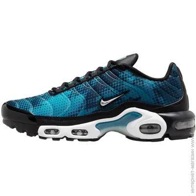    Nike Air Max Plus .40.5 (HV6355-001-40.5)
