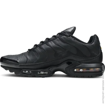    Nike Air Max Plus TN 'Triple Black' (AJ2029-001-40.5)