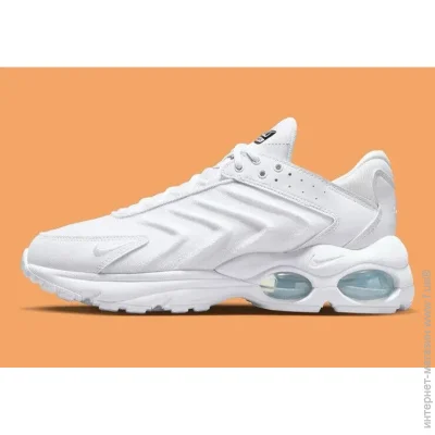    Nike Air Max TW .44.5 (DQ3984-102-44.5)