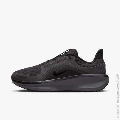    Nike AIR WINFLO 11 GTX (FQ1358-001-46)